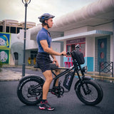 High Power Fat Tire Full Suspension Mountain Electric Bike