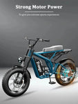 High Power Fat Tire Full Suspension Mountain Electric Bike