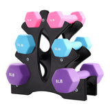 Dumbbell Rack