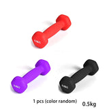 Dumbbell Fitness Equipment Arm Muscle  Home Workout