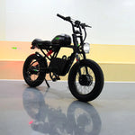 Double Battery Electric Dirt Bike