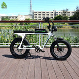 Power Electric City Bicycle