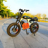 Double Battery Electric Dirt Bike