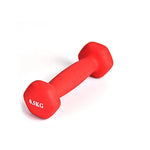 Dumbbell Fitness Equipment Arm Muscle  Home Workout