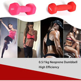 Dumbbell Fitness Equipment Arm Muscle  Home Workout