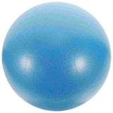 Home Workout Core Exercise Ball.