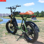 Hydraulic Brake Electric Bike For Adults