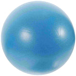 Home Workout Core Exercise Ball.