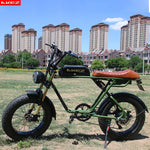 Hydraulic Brake Electric Bike For Adults